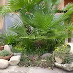 Is Concais Ξενοδοχείο Tratalias